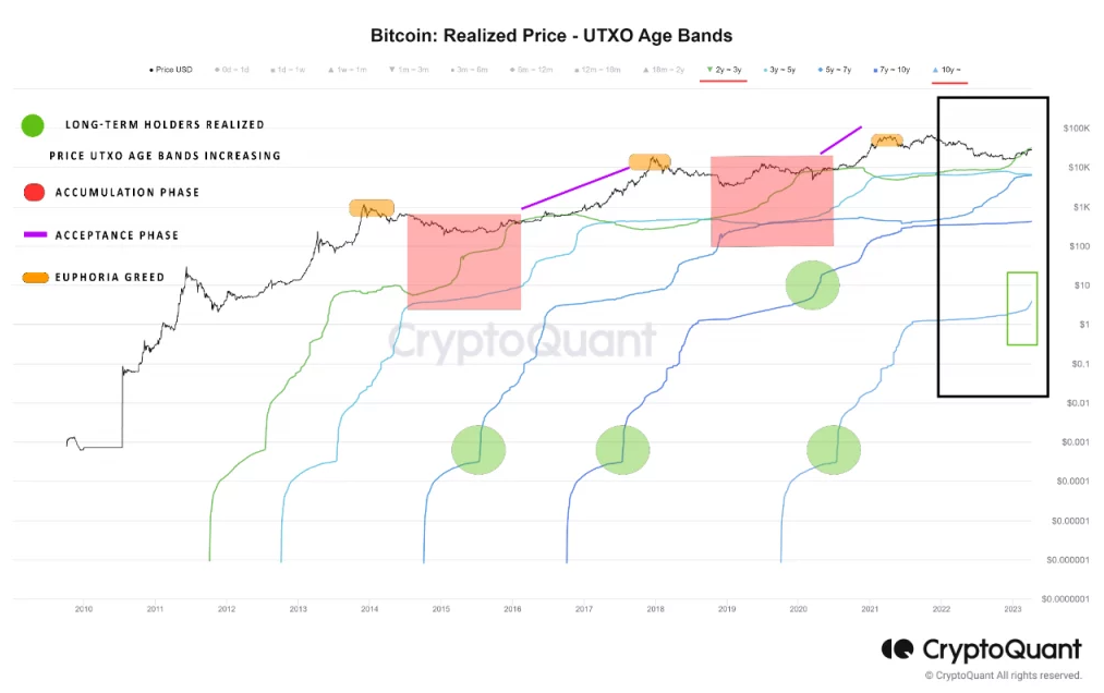 Holder dài hạn và ba giai đoạn của chu kỳ thị trường Bitcoin