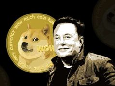 Elon Musk cảnh báo tới các nhà đầu tư đừng "đặt cược toàn bộ" vào Dogecoin