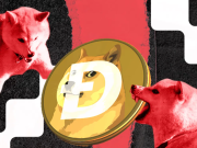 doge-tang