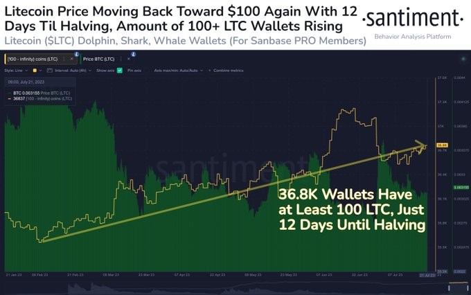 Litecoin 