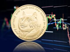 DOGE đối đầu SEC: Ai sẽ thắng? DOGE