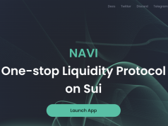 NAVI Protocol