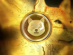 Lý do Shiba Inu (SHIB) đạt mức cao nhất trong 3 tháng SHIB