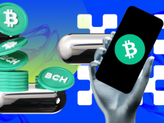 Bitcoin Cash (BCH) đang ở ngã tư đường: Nó sẽ giảm xuống dưới $200 hay phục hồi trở lại? bch-giam
