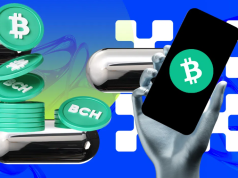 Dự đoán giá Bitcoin Cash (BCH): Tiềm năng tăng 80% hay giảm 40%? bch-tang-giam