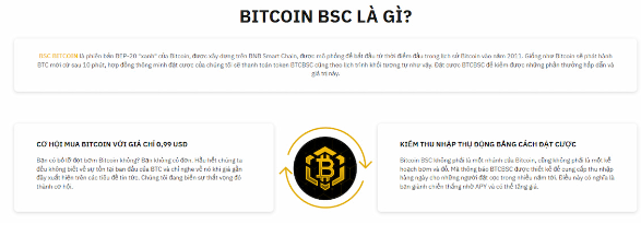 Kiếm APY cao với tính năng Stake-to-Earn của Bitcoin BSC