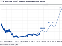 Matrixport Cho Biết Bitcoin Hiện Đang Trong Bull Market Lần Thứ Năm