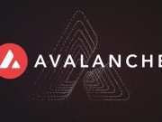 Tổng phí gas của Avalanche C-Chain vượt 20 triệu đô la avalanche-network-cong-bo-de-xuat-moi-cho-cac-cai-tien-vi-cong-dong
