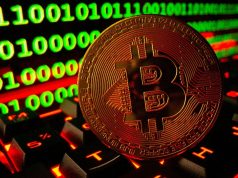 bitcoin-da-tang-100-trong-nam-nay-khong-chi-do-su-cuong-dieu-cua-bitcoin-etf-giao-ngay
