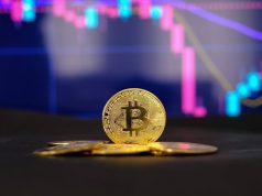 Tin vắn Crypto 05/11: Bitcoin đang chuẩn bị cho đợt bùng nổ tăng giá mới cùng tin tức Ripple, Tron, FLOKI, THORChain, Shibarium, SushiSwap