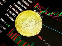 Một con cá voi tích lũy 500 triệu đô la Bitcoin YTD và đang sinh lời khủng tiền điện tử
