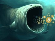 Tại sao các cá voi Bitcoin kiếm được 2,2 tỷ đô la trong tuần? Bitcoin