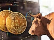 8 dấu hiệu thị trường bò Bitcoin vẫn chưa kết thúc Bitcoin