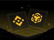 Hoạt động của BNB Chain hỗ trợ giá tăng 11% – Tiếp theo sẽ là $300 cho BNB? bnb