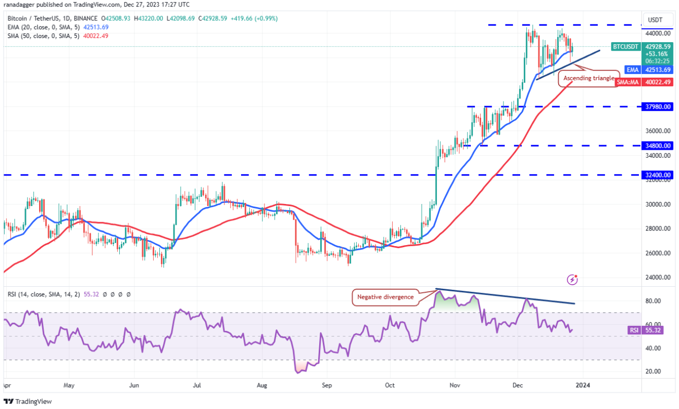 btc-bnb-dot