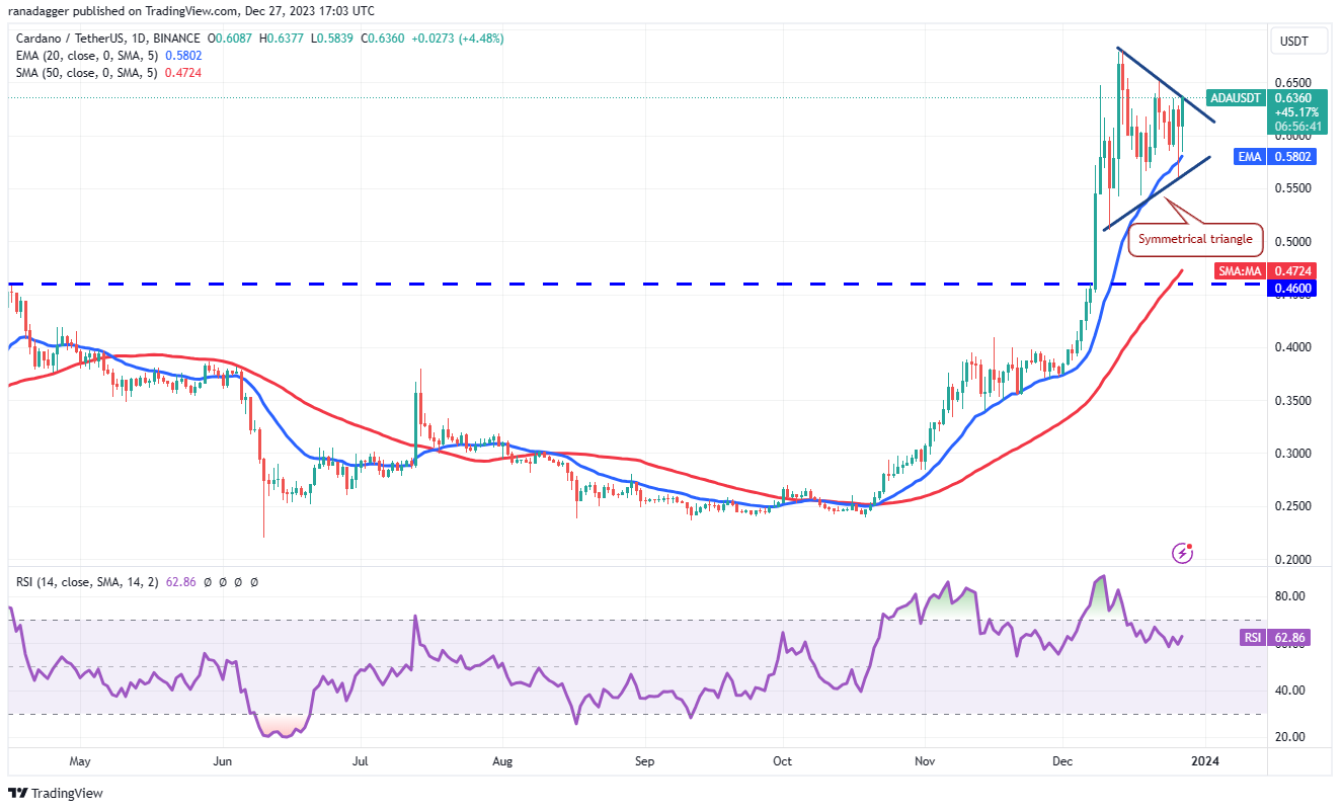 btc-bnb-dot