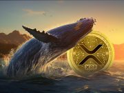 Cá voi đặt cược lớn vào Ripple, tích lũy 360 triệu XRP XRP