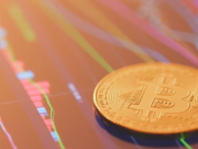 Giá Coin hôm nay 12/01: Bitcoin đạt đỉnh $ 49.000 trước khi bị bán tháo, altcoin tăng mạnh khi chứng khoán Mỹ đi ngang