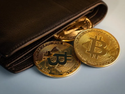 Ai nắm giữ nhiều BTC nhất vào năm 2024?