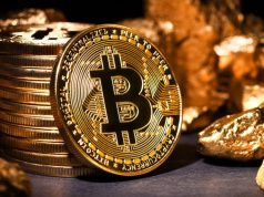 Bitcoin bảo vệ mức giá quan trọng 6 lần – Tiếp theo là 44.000 đô la? Bitcoin