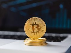 15 năm, 90K triệu phú Bitcoin – Ví triệu phú Bitcoin tăng 300%
