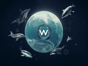 Thử thách tạo nên cơ hội: Worldcoin (WLD) cần nhiều cá voi hơn nữa Ca voi WLD