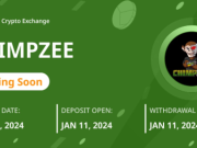 Chimpzee Chính Thức Ra Mắt Trên Sàn Giao Dịch P2B Vào Ngày 11 Tháng 01 – 2 Tỷ Token Sẽ Bị Đốt Trước Khi Ra Mắt