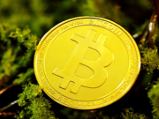 Green Bitcoin (GBTC) thu hút nguồn vốn khổng lồ nhờ sự kết hợp giữa tính bền vững cùng cơ chế tạo thu nhập mới