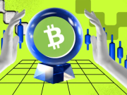Bitcoin Cash (BCH) nhắm mục tiêu đột phá $300 : Phân tích các chiến lược đột phá tiềm năng bch-dot-pha