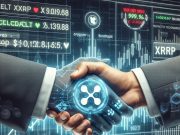 David Schwartz tiết lộ 99% holder XRP tại block genesis của XRPL ripple