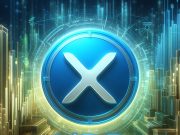 CEO Ripple Brad Garlinghouse hoan nghênh XRP ETF