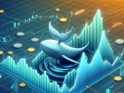 Khi giá Bitcoin nhảy vọt, cá voi tích cực chuyển hướng sang các altcoin