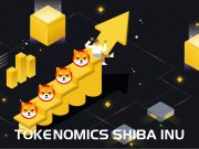 Tokenomics Shiba Inu: Tìm hiểu cách vận hành của SHIB, LEASH, BONE
