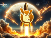 Top 5 altcoin có vốn hóa thấp giúp bạn biến 10 đô la thành 1.000 đô la cho đợt Bull Run tới Top 5 altcoin có vốn hóa thấp giúp bạn biến 10 đô la thành 1.000 đô la cho đợt Bull Run tới