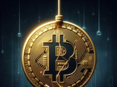Các nhà đầu tư truyền thống có coi Bitcoin là tài sản rủi ro không?