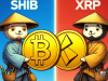 shib-xrp