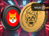 Dogwifhat và Shiba Inu chạy đua tới 1 USD khi Memecoin mới tham gia