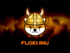 Floki Inu (FLOKI) là gì?