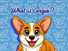 CorgiAI (CORGIAI) là gì?