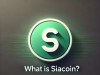 Siacoin (SC) là gì?