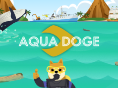 Aqua Doge huy động được 200.000 đô la vào ngày đầu tiên của đợt presale