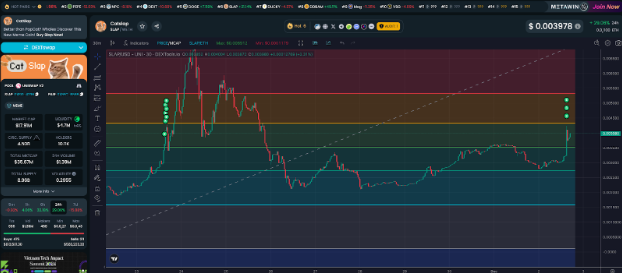 Ví Jump Trading Firm bỏ ra tới 500.000 đô la đầu tư vào meme coin mèo mới Catslap