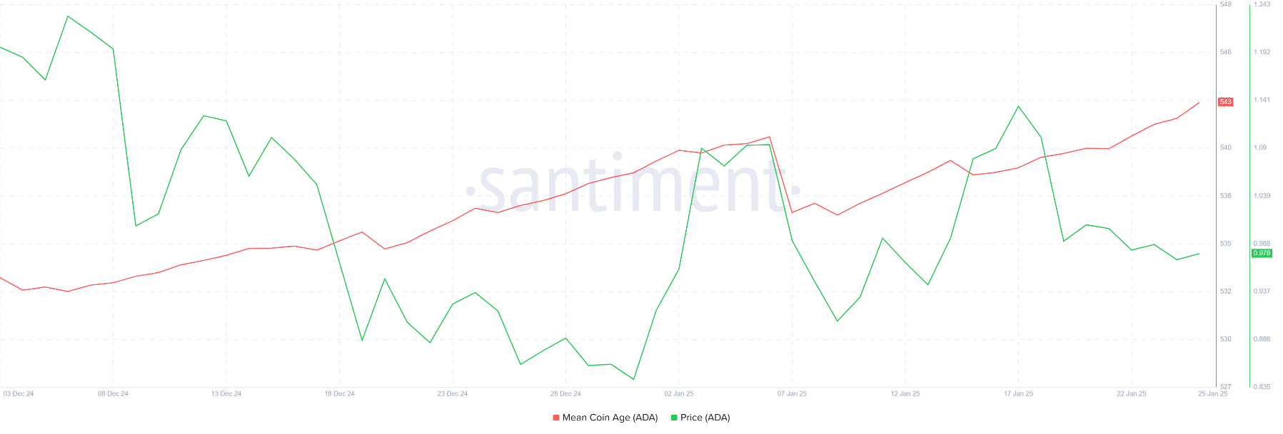 cardano ada