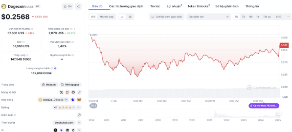 Những đồng coin không thể bỏ lỡ để kiếm được lợi nhuận khổng lồ khi thị trường phục hồi
