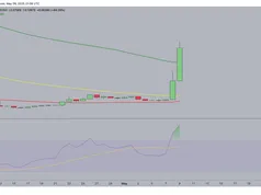 Moo Deng dẫn đầu làn sóng memecoin Solana khi Bitcoin vượt mốc 103.000 USD