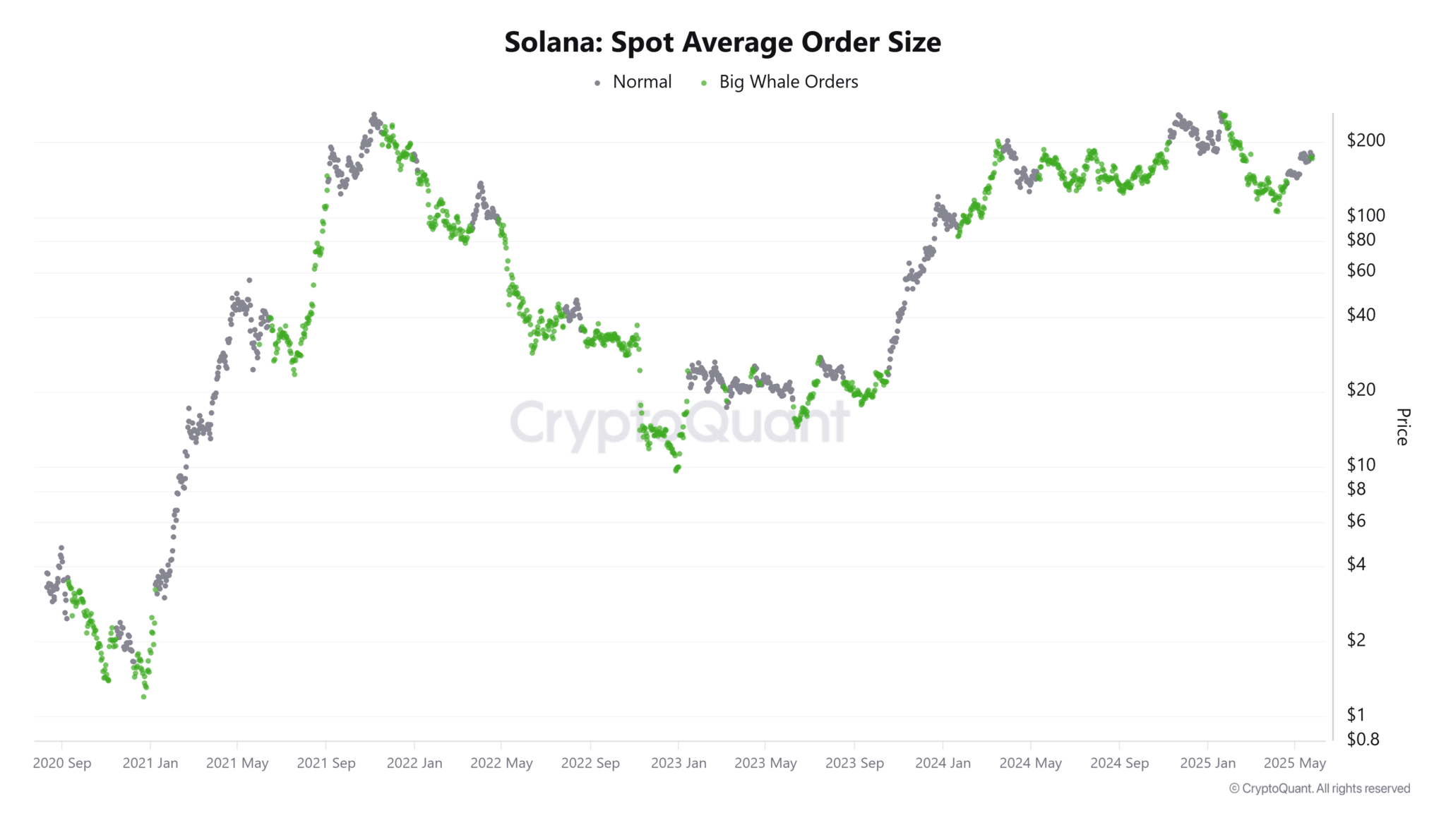 Solana đã sẵn sàng breakout chưa?