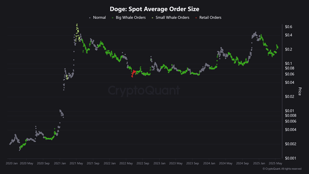 Dogecoin