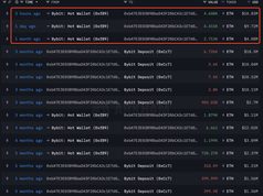Cá voi từng lỗ 11 triệu USD với ETH quay lại gom hàng khi giá tăng sau nâng cấp Pectra
