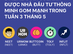 5 memecoin trên Solana được nhà đầu tư thông minh gom mạnh trong tuần 3 tháng 5
