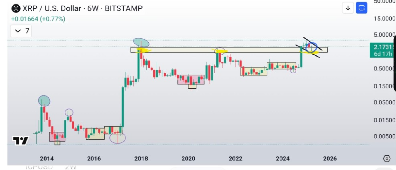 xrp-tang
